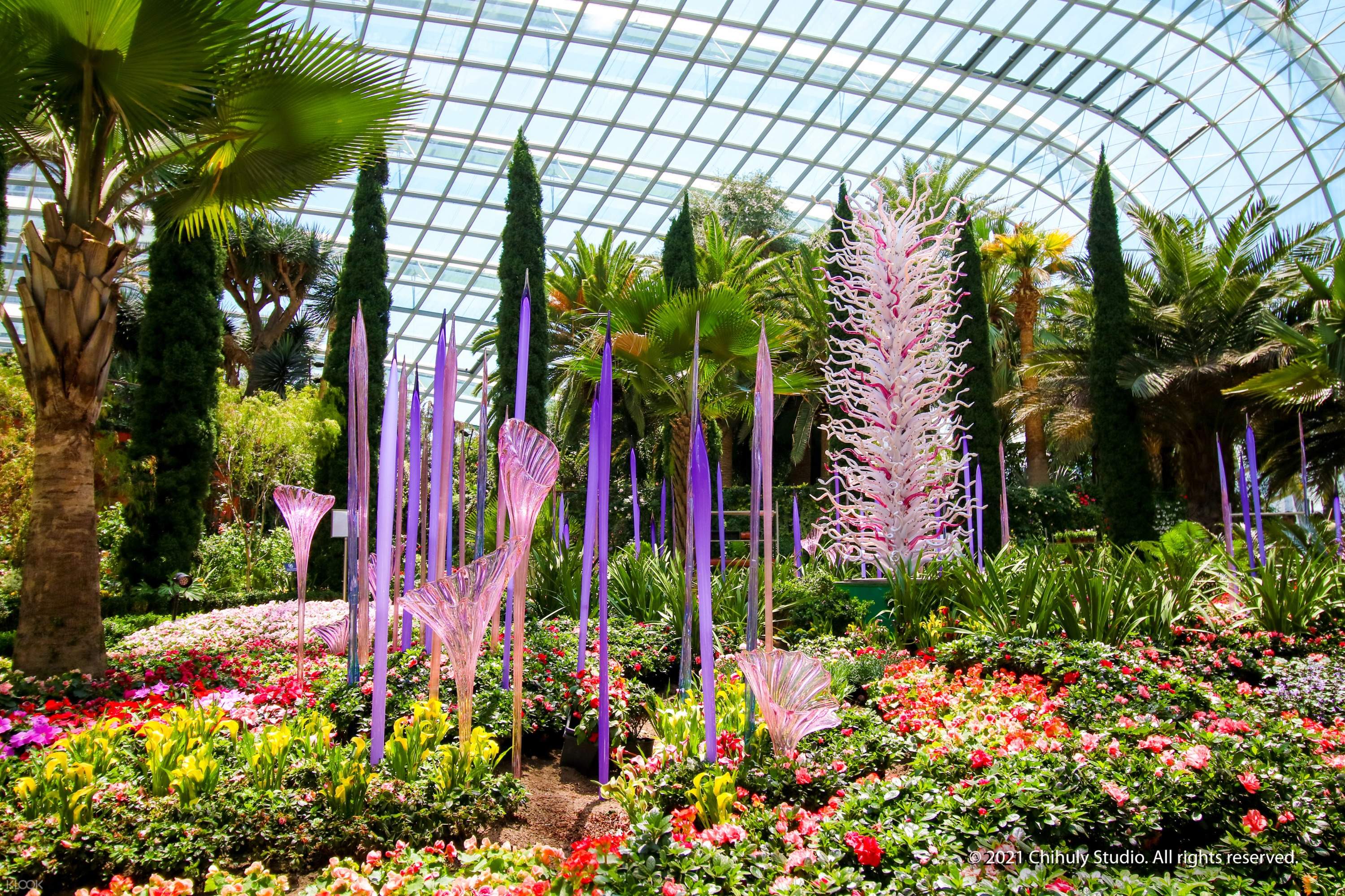 ботанический сад в сингапуре